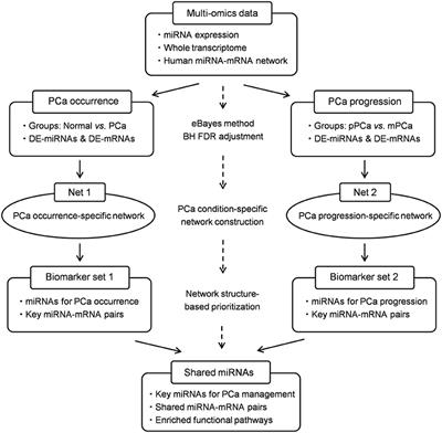 Identification of Key MicroRNAs and Mechanisms in Prostate Cancer Evolution Based on Biomarker Prioritization Model and Carcinogenic Survey